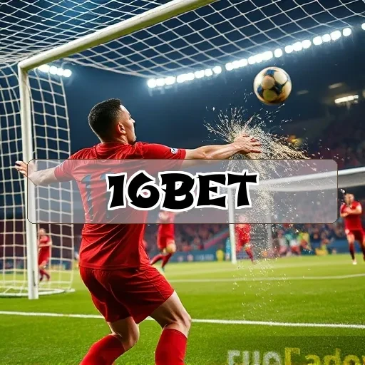 16 bet Bingo Online